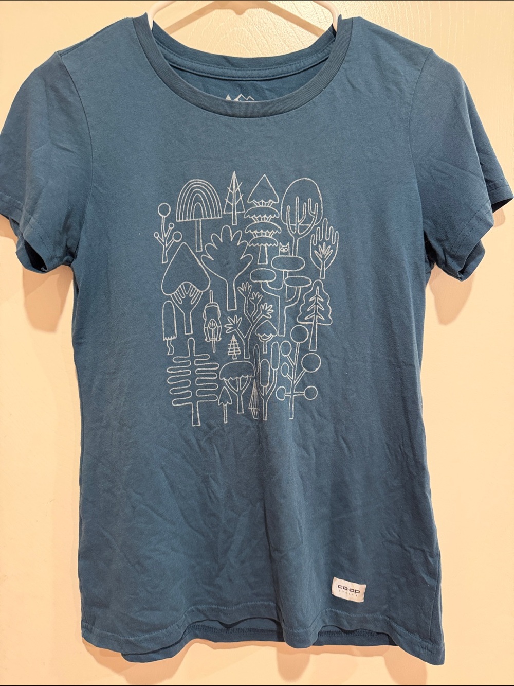 REI Teal Graphic Short Sleeve Tee